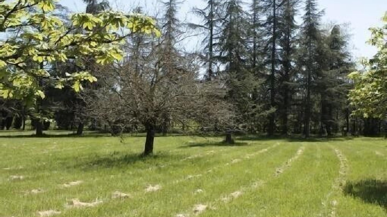 Photo of Outdoor in Vindrac-Alayrac