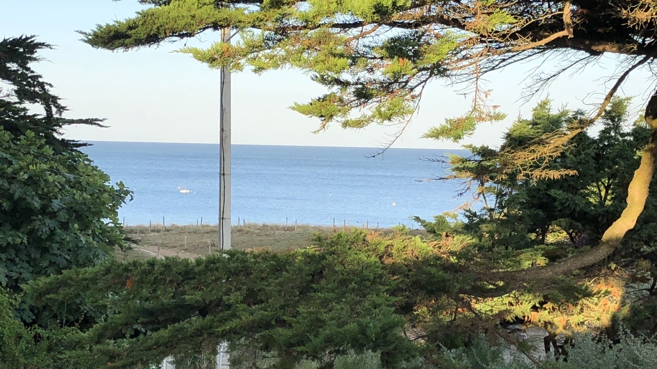 Photo of Others in Noirmoutier-en-l'Ile