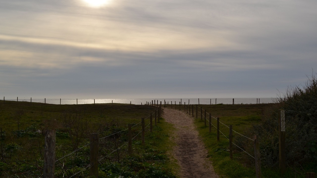 Photo of Outdoor in Noirmoutier-en-l'Ile