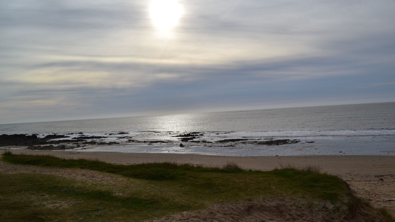 Photo of Others in Noirmoutier-en-l'Ile