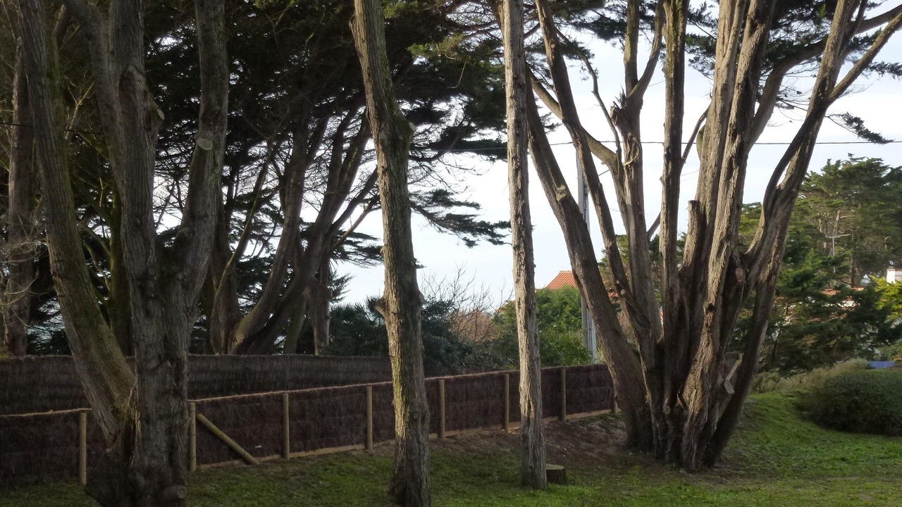 Photo of Outdoor in Noirmoutier-en-l'Ile