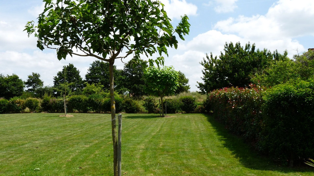 Photo of Outdoor in Montfaucon-Montigne