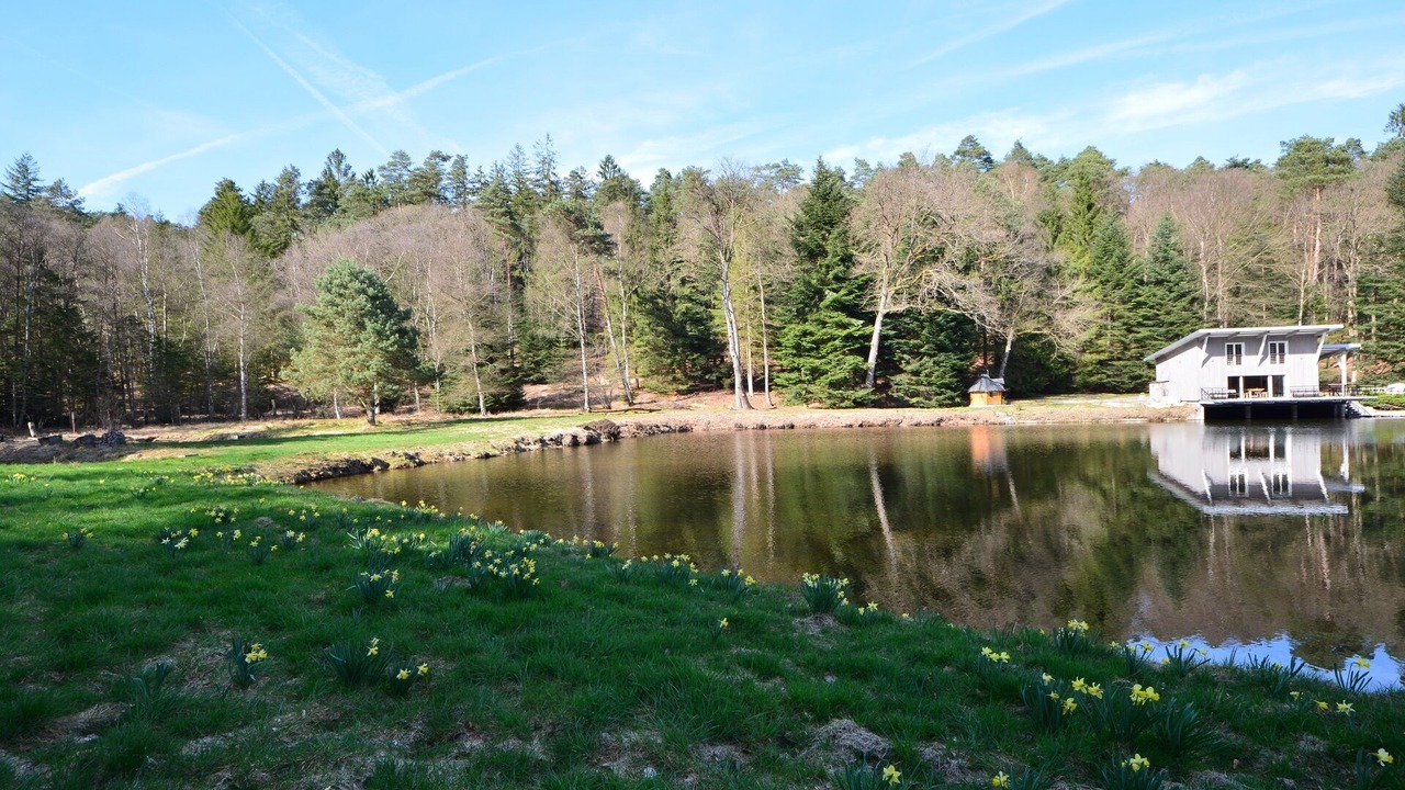 Photo of Outdoor in Epinal