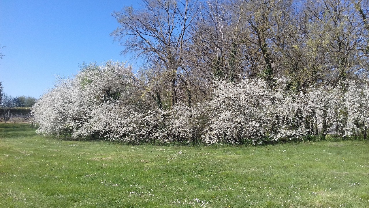 Photo of Outdoor in Lerne