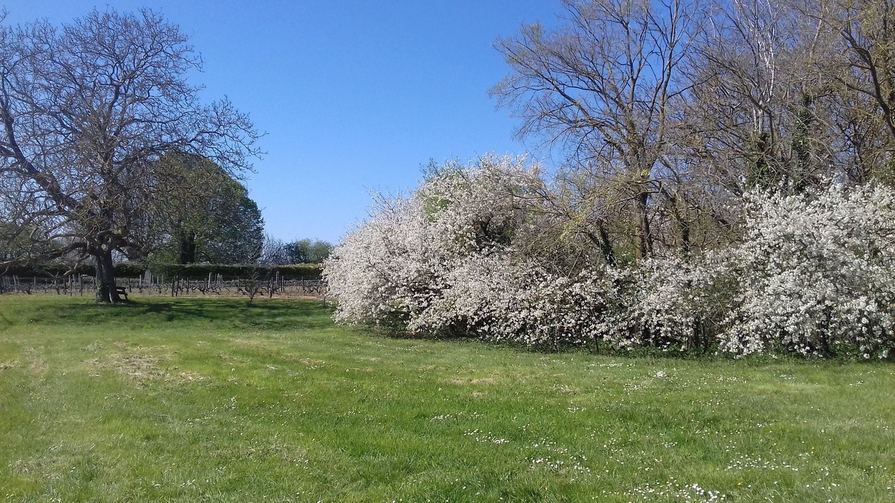Photo of Outdoor in Lerne