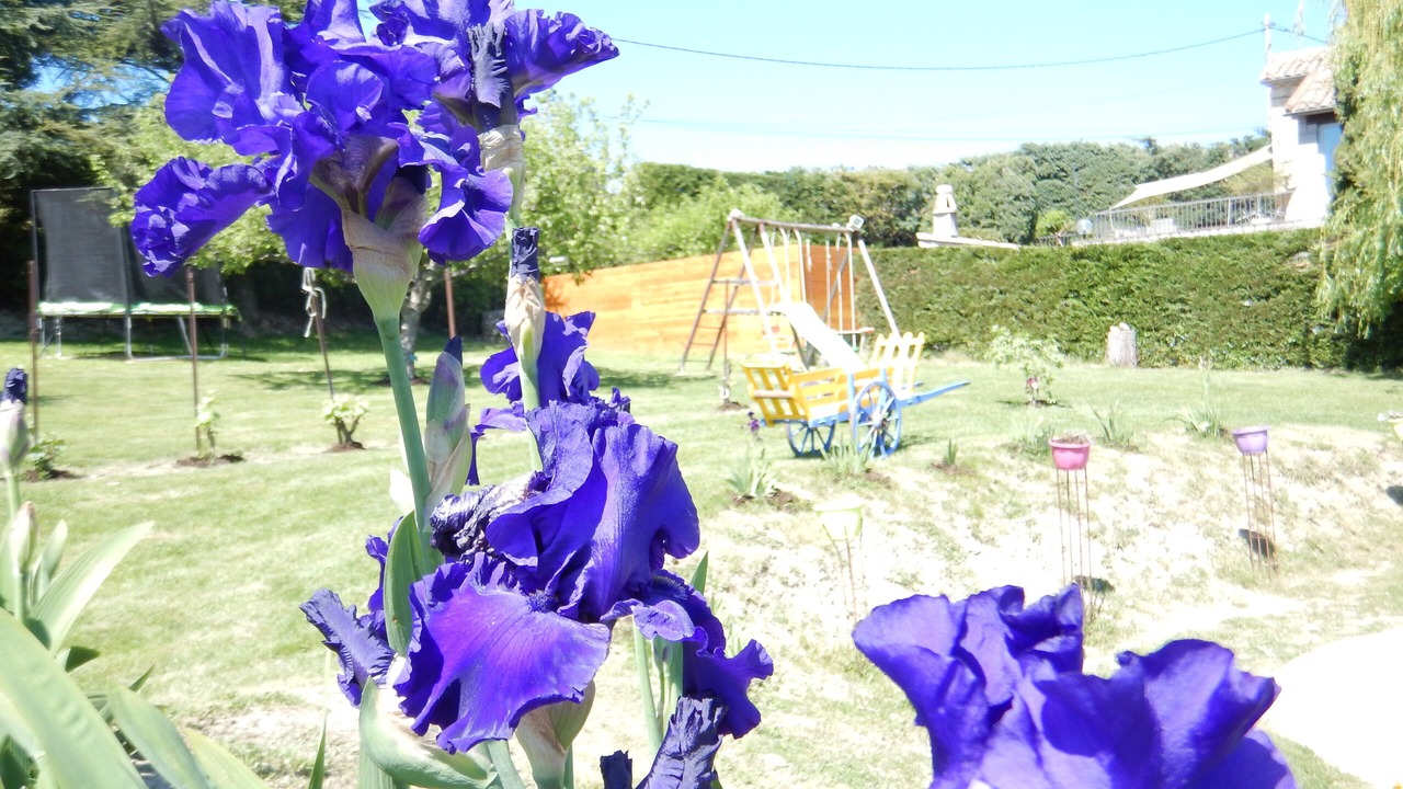 Photo of Outdoor in Lagorce