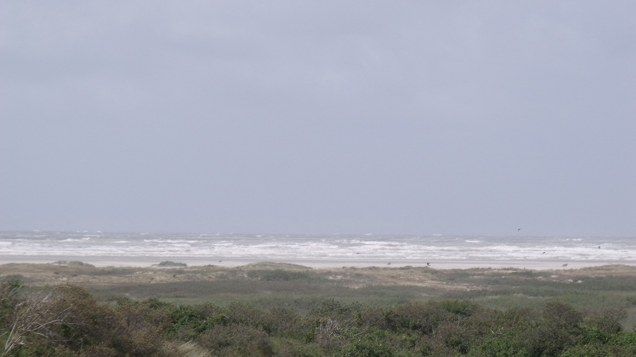 Photo of Others in Fort-Mahon-Plage