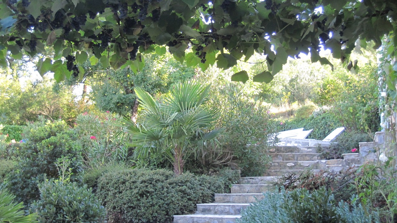 Photo of Outdoor in Valvigneres