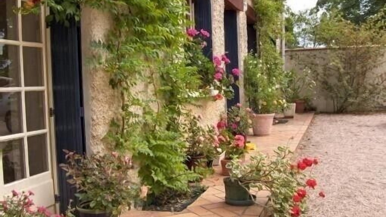 Photo of Outdoor in Evran