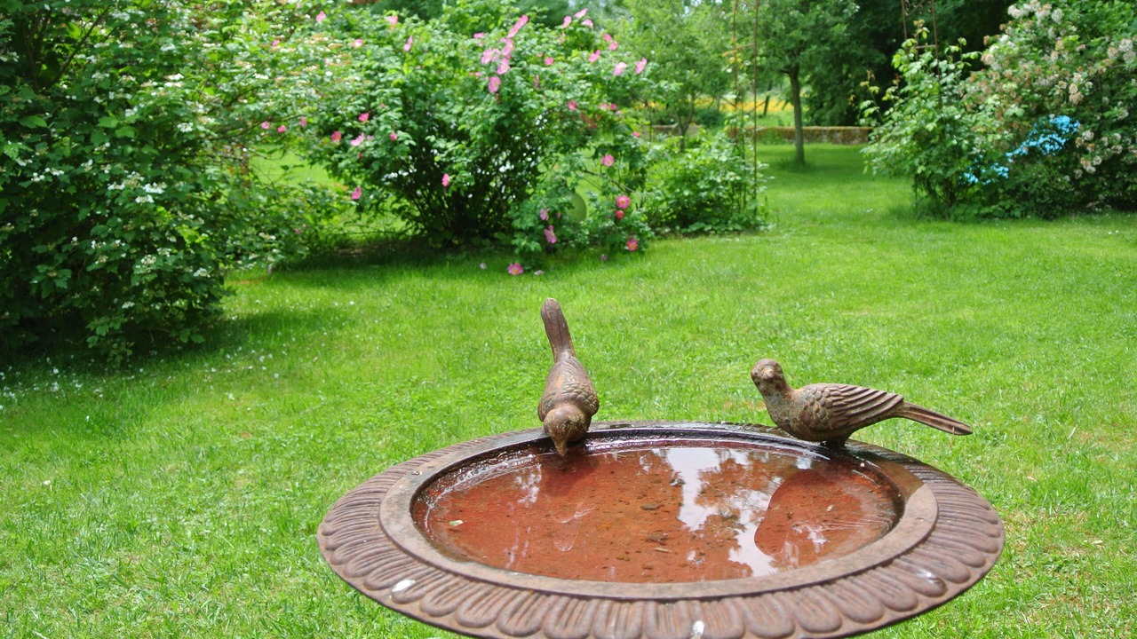Photo of Outdoor in Etrochey