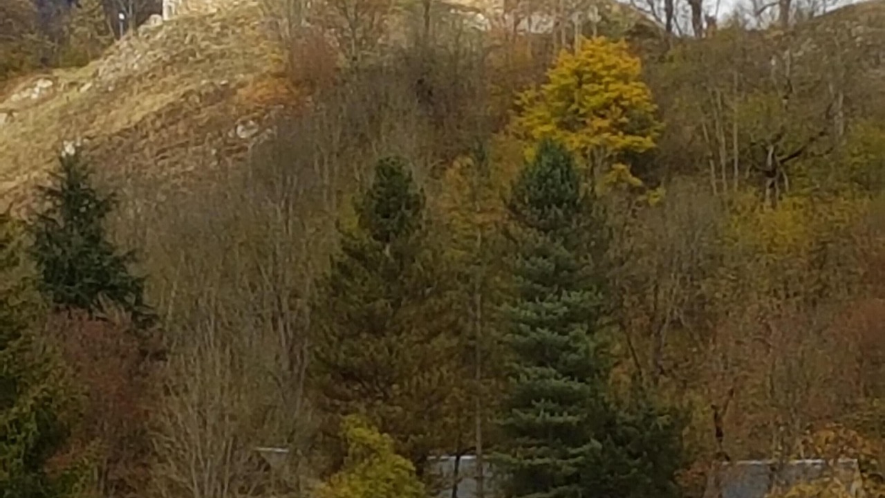 Photo of Outdoor in Peyragudes