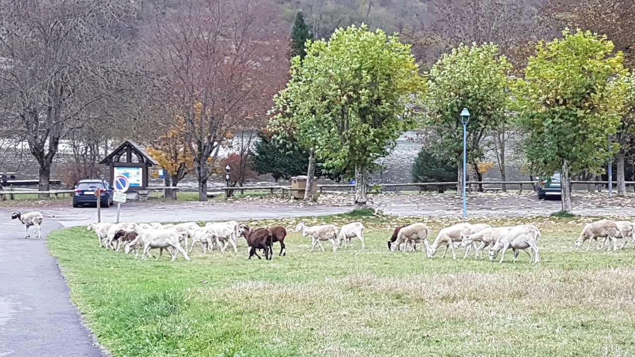 Photo of Outdoor in Peyragudes