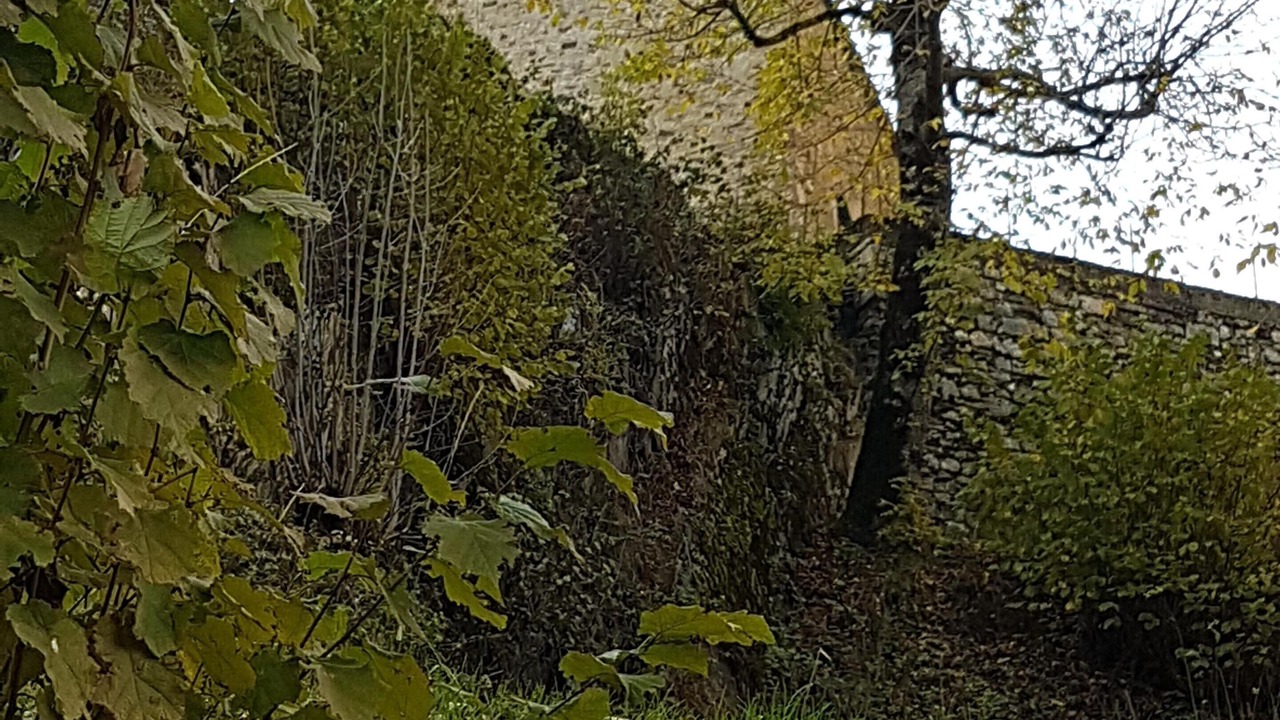 Photo of Outdoor in Peyragudes
