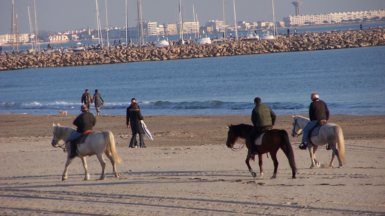 Photo of Others in Le Couchant