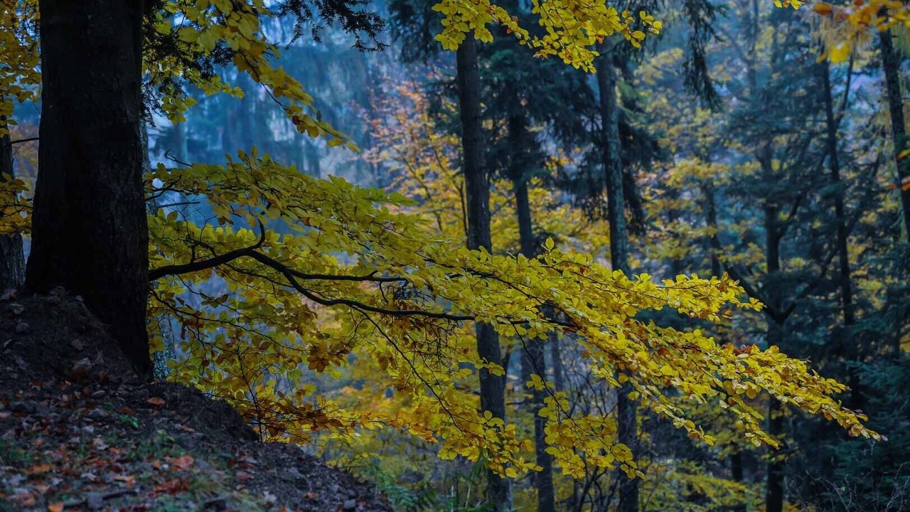 Photo of Outdoor in Mesnil Sous Les Cotes