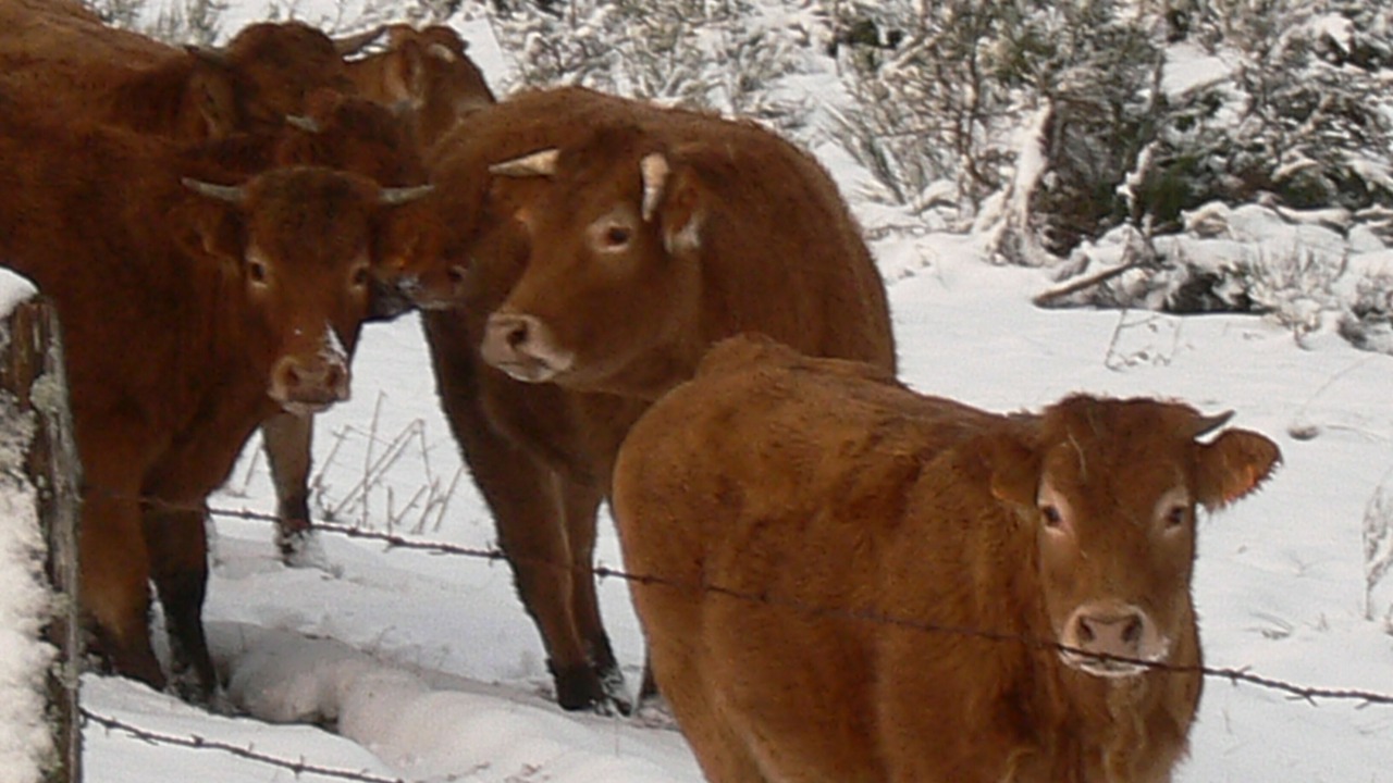 Photo of Outdoor in Mesnil Sous Les Cotes