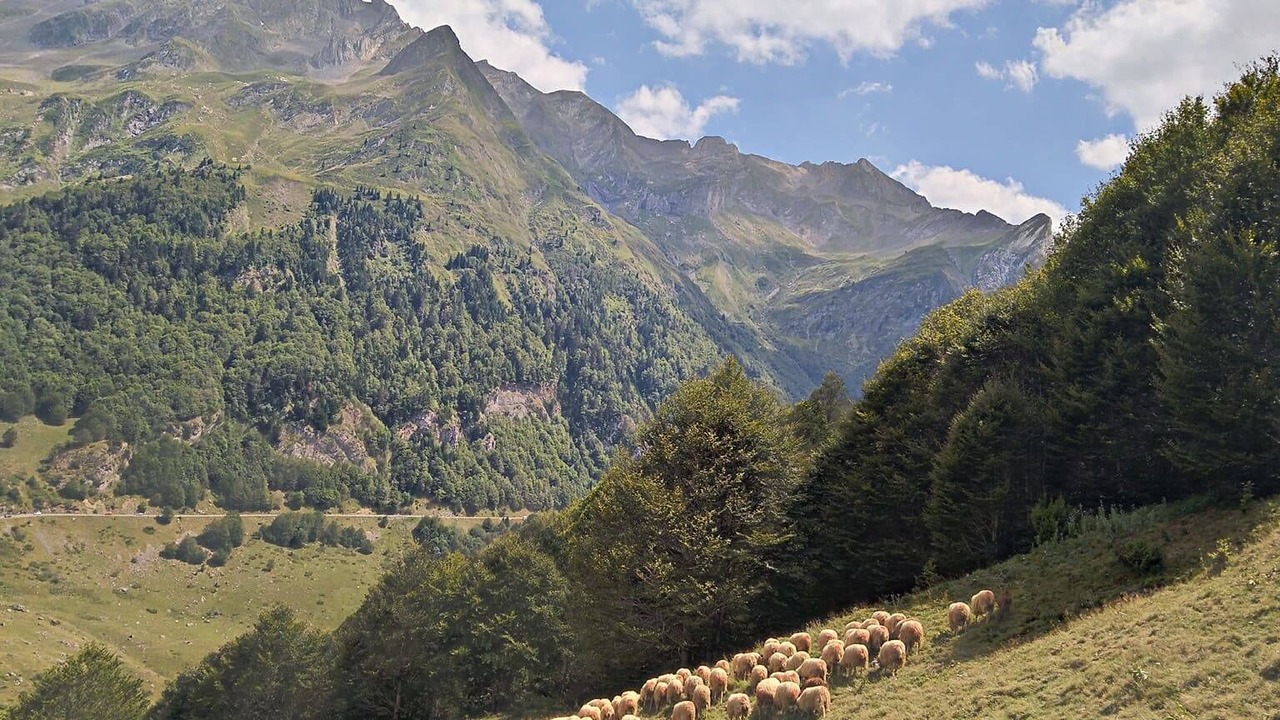 Photo of Others in Laruns