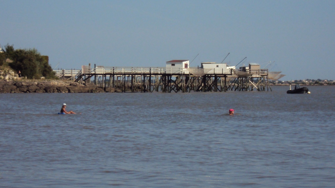 Photo of Others in Fouras