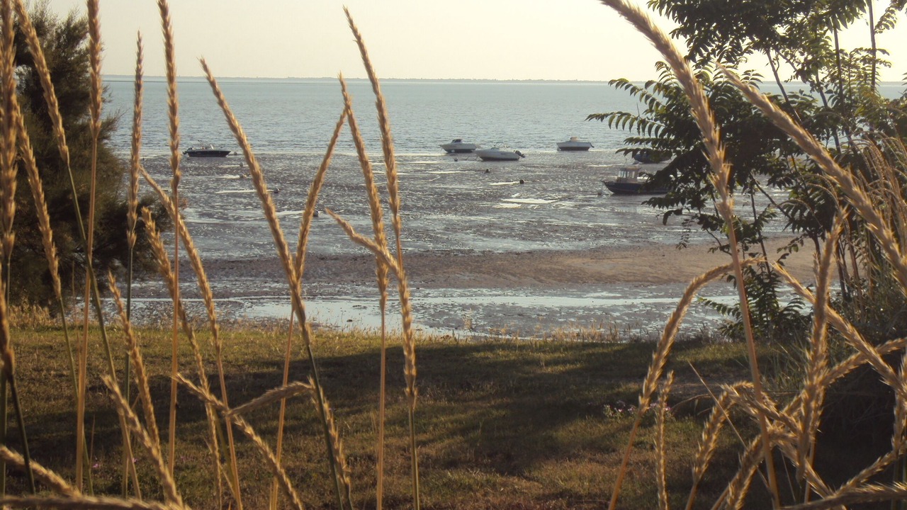 Photo of Others in Fouras