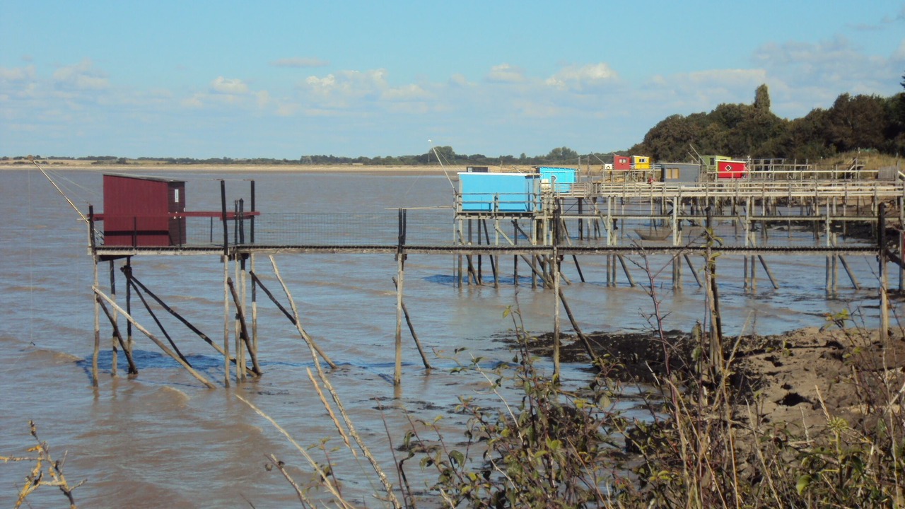 Photo of Others in Fouras