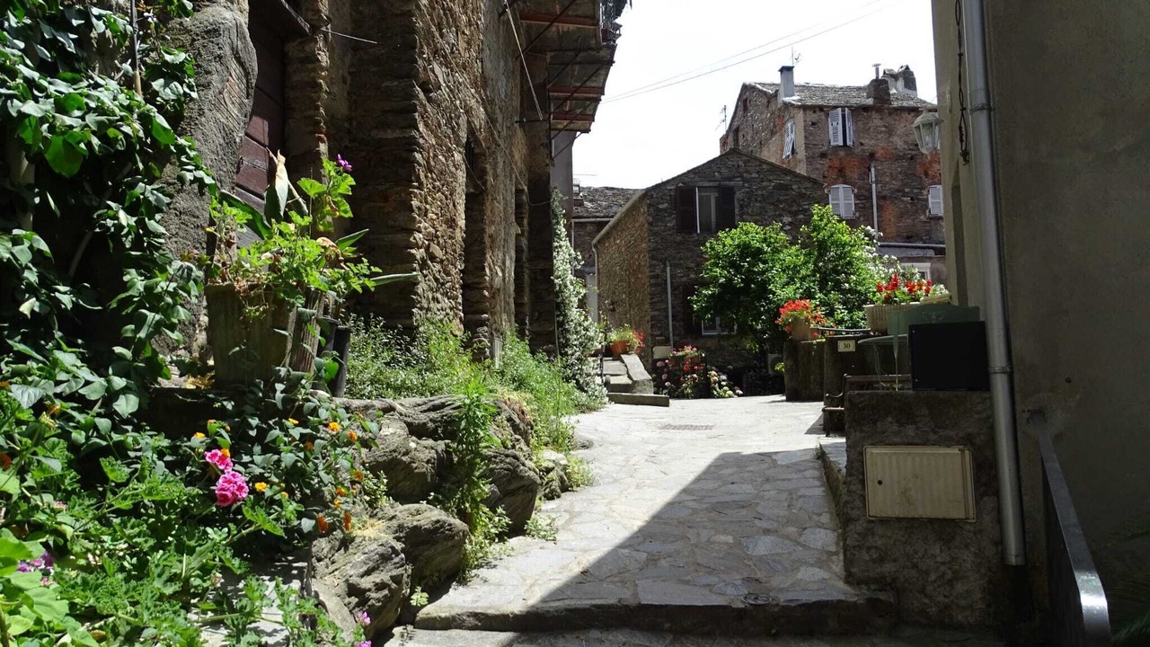Photo of Outdoor in Casamozza