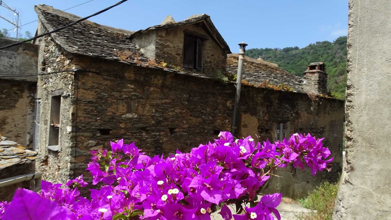Photo of Outdoor in Casamozza