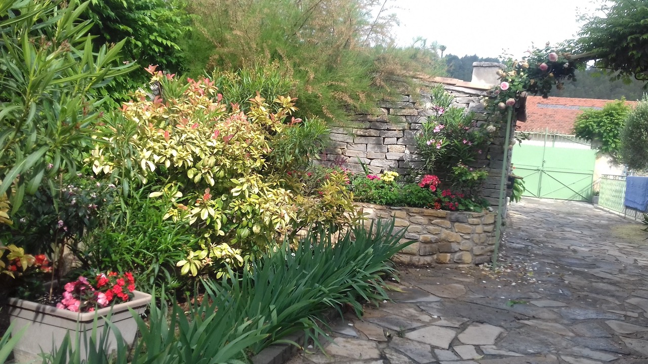 Photo of Outdoor in Carnas