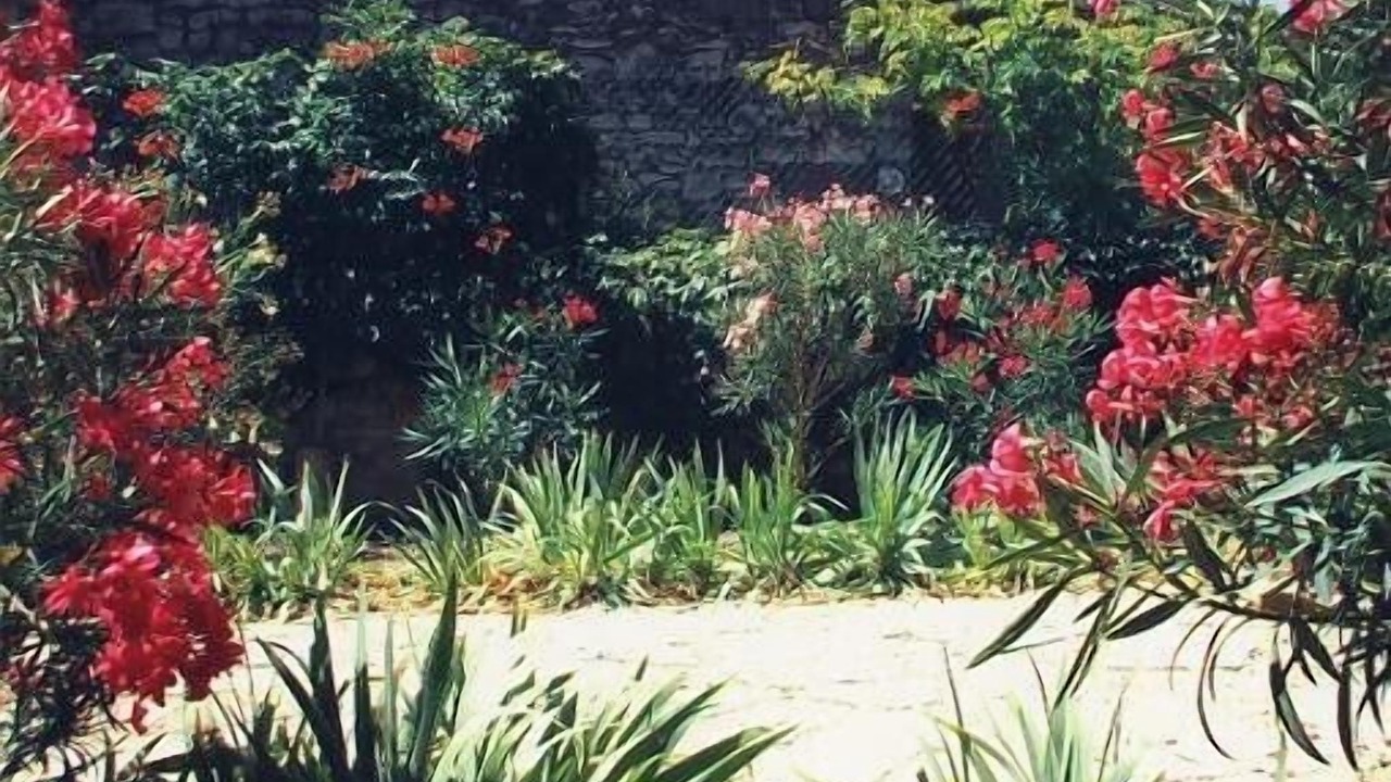 Photo of Outdoor in Carnas