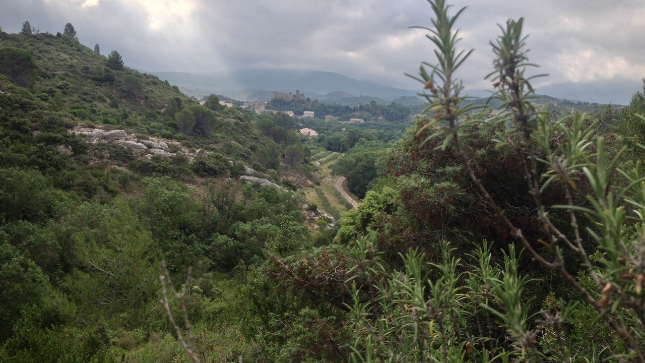 Photo of Outdoor in Durban-Corbieres