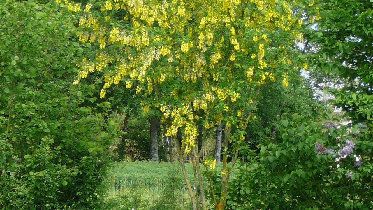 Photo of Outdoor in Varennes