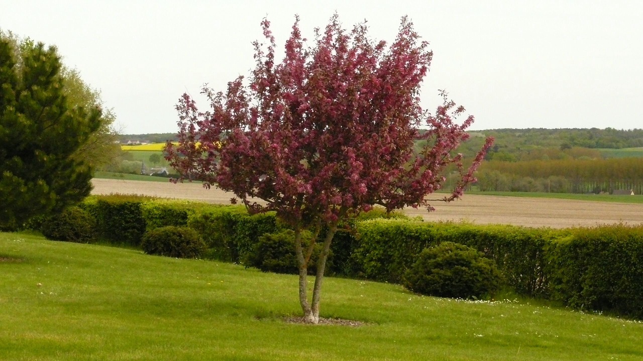 Photo of Others in Varennes