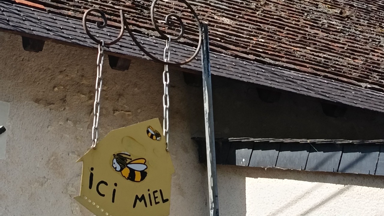 Photo of Outdoor in La Croix-en-Touraine