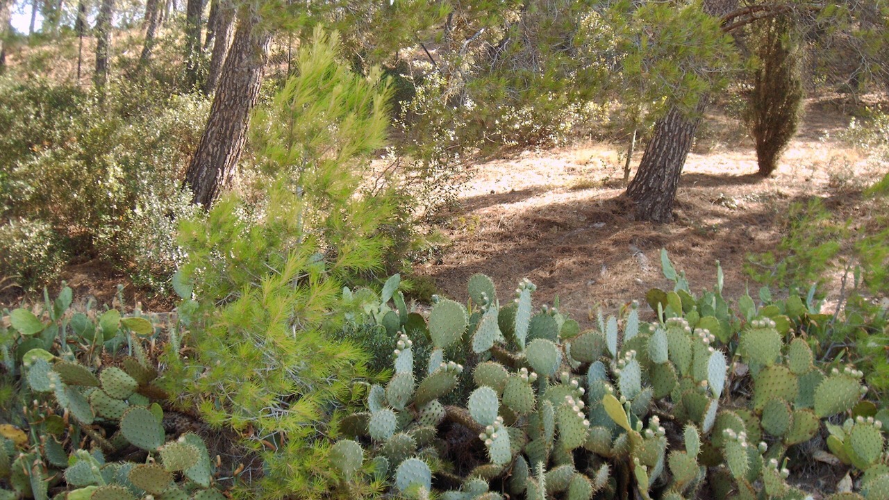 Photo of Outdoor in Nevian