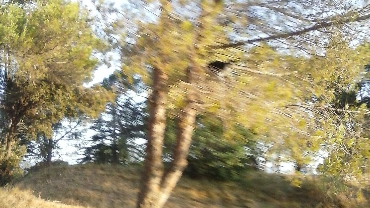 Photo of Outdoor in Nevian