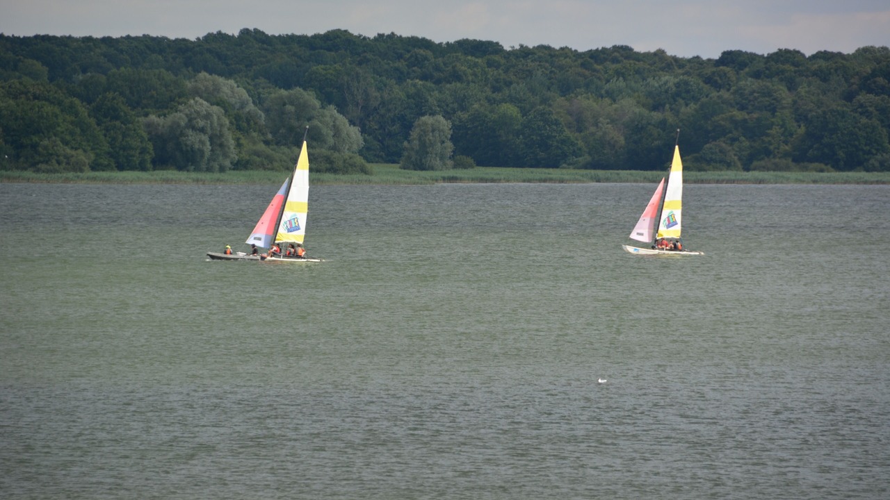 Photo of Others in Giffaumont-Champaubert