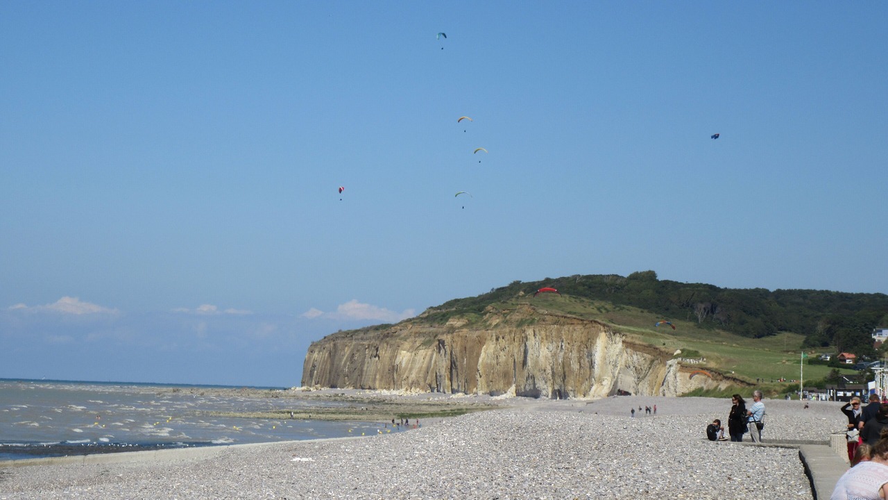Photo of Others in Longueil