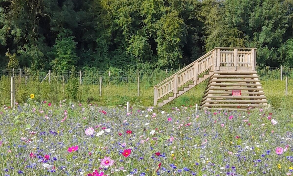 Photo of Outdoor in Longueil