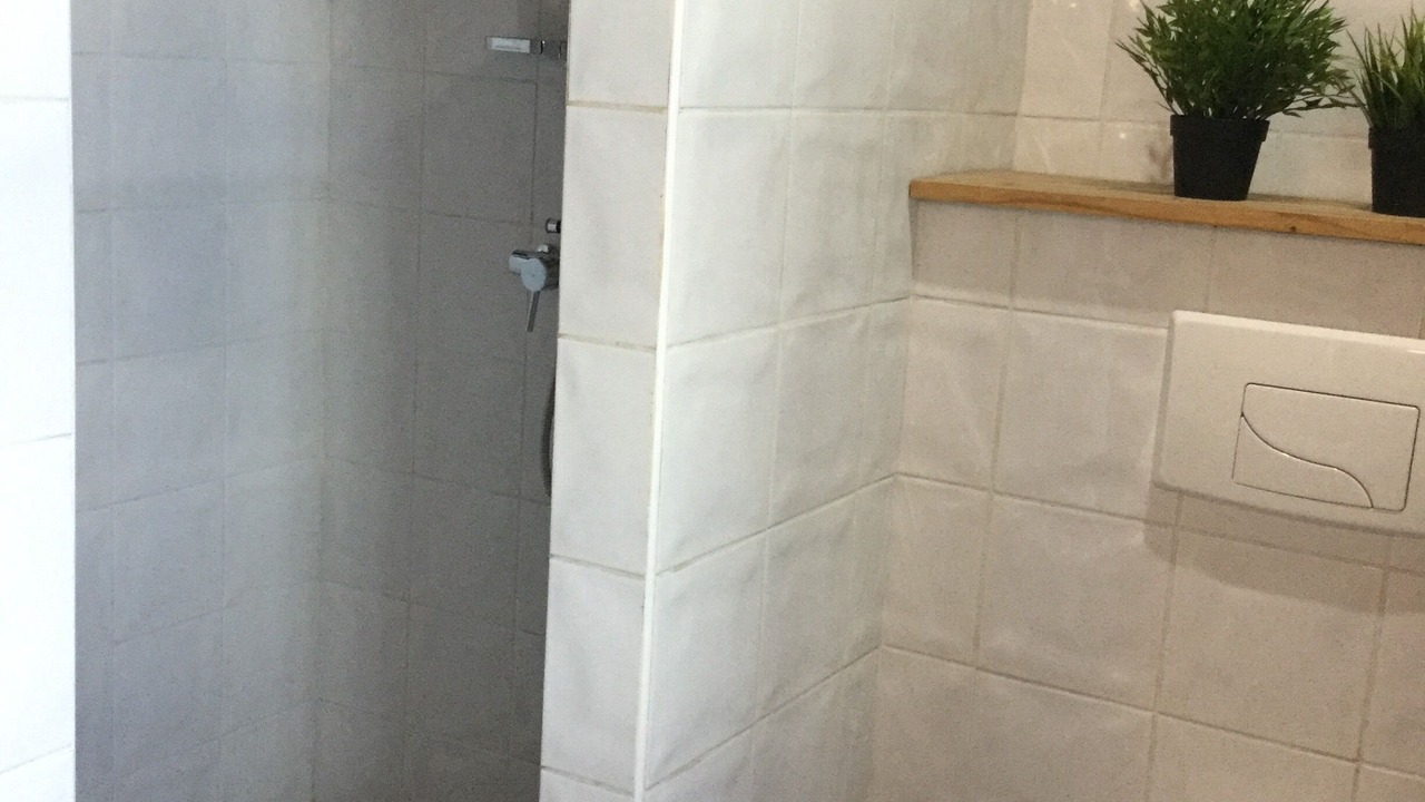 Photo of Bathroom in Artalens-Souin
