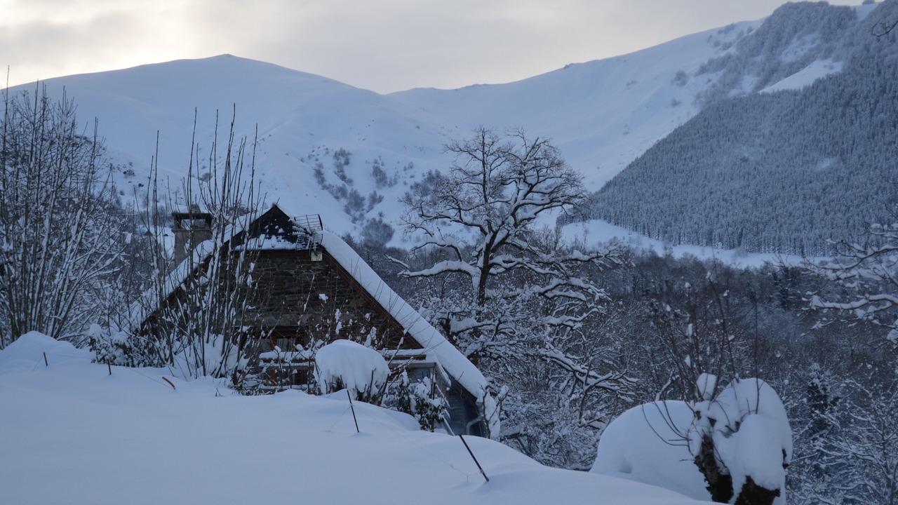 Photo of Outdoor in Artalens-Souin