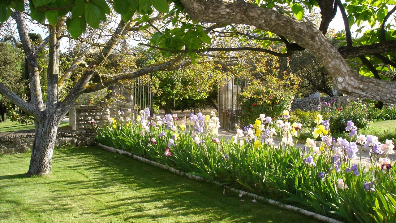 Photo of Outdoor in Montsegur-sur-Lauzon