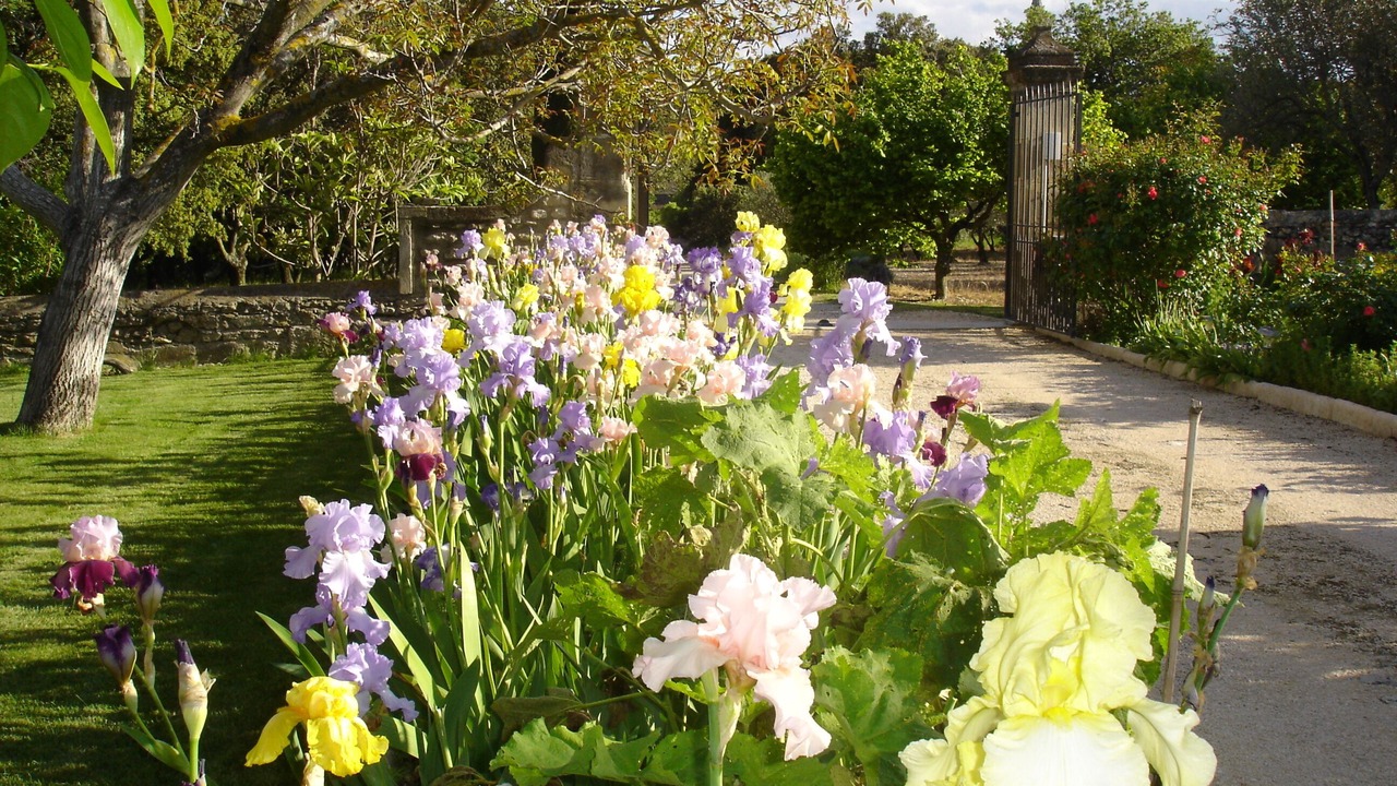 Photo of Outdoor in Montsegur-sur-Lauzon