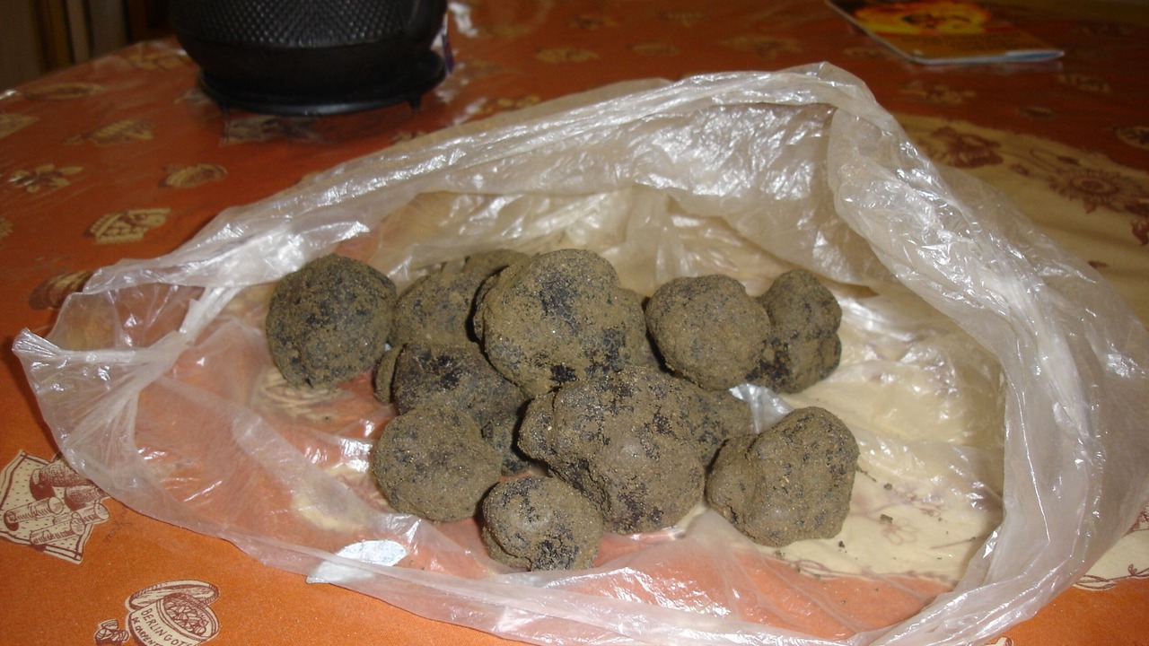 Photo of Others in Montsegur-sur-Lauzon