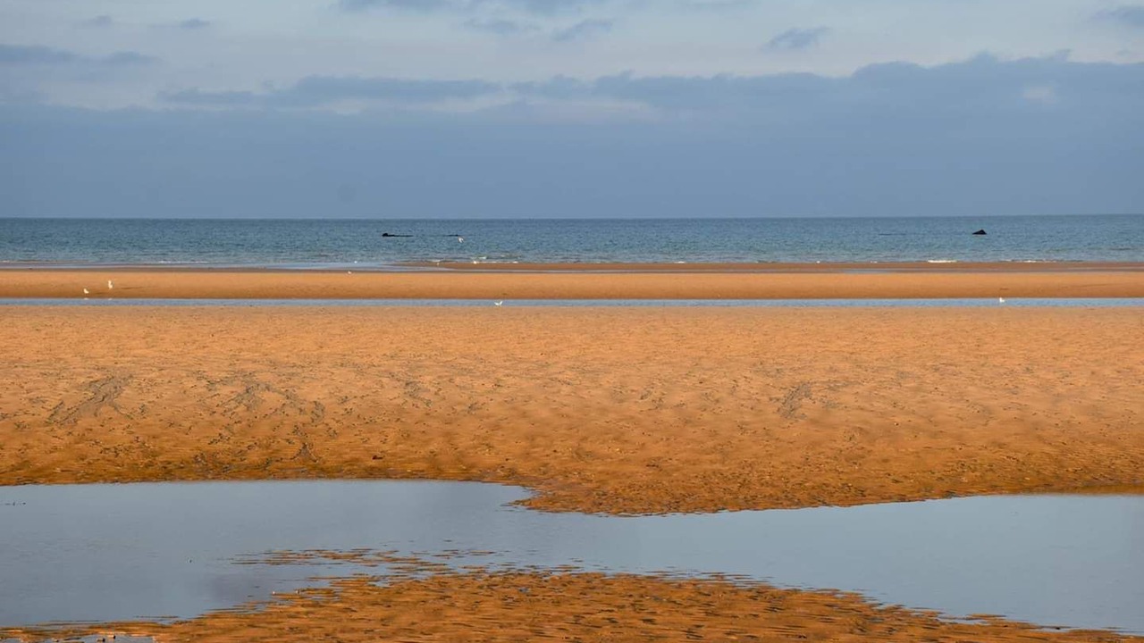 Photo of Others in Sainte-Honorine-des-Pertes