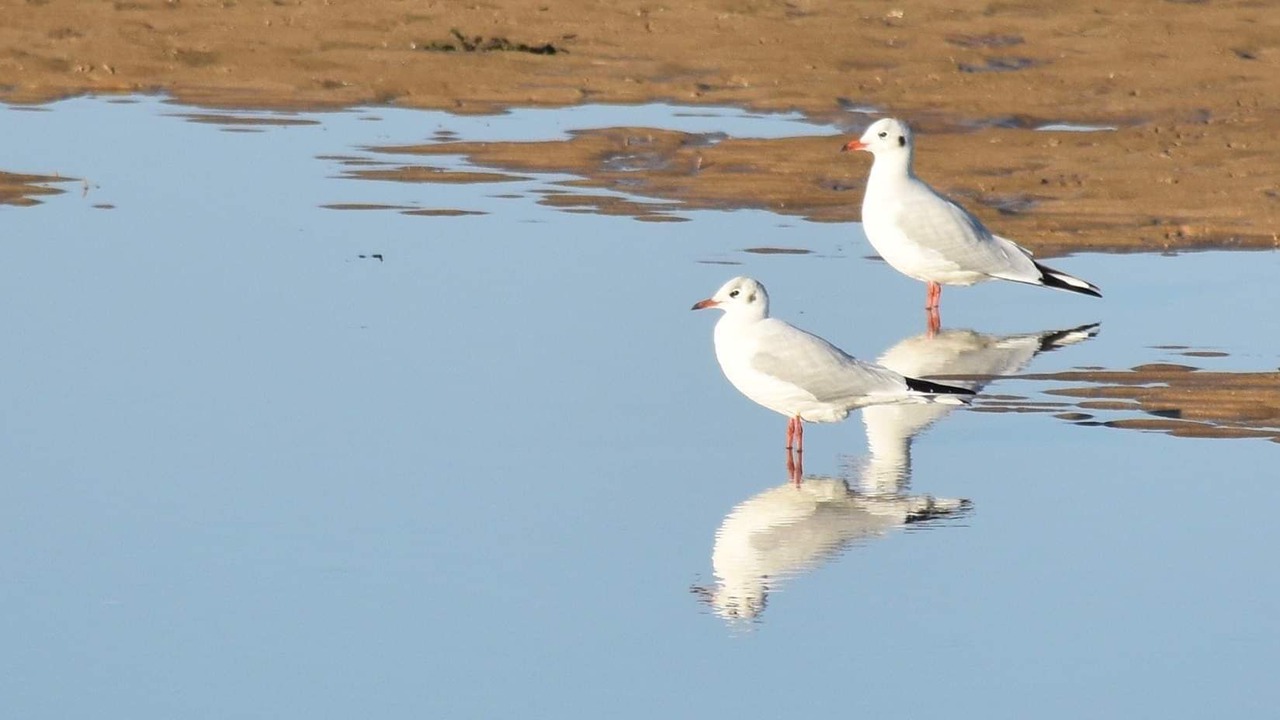 Photo of Others in Sainte-Honorine-des-Pertes