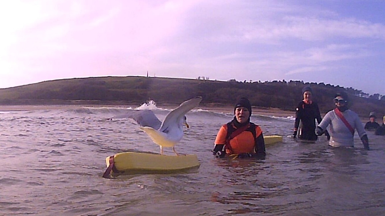 Photo of Others in Sainte-Honorine-des-Pertes