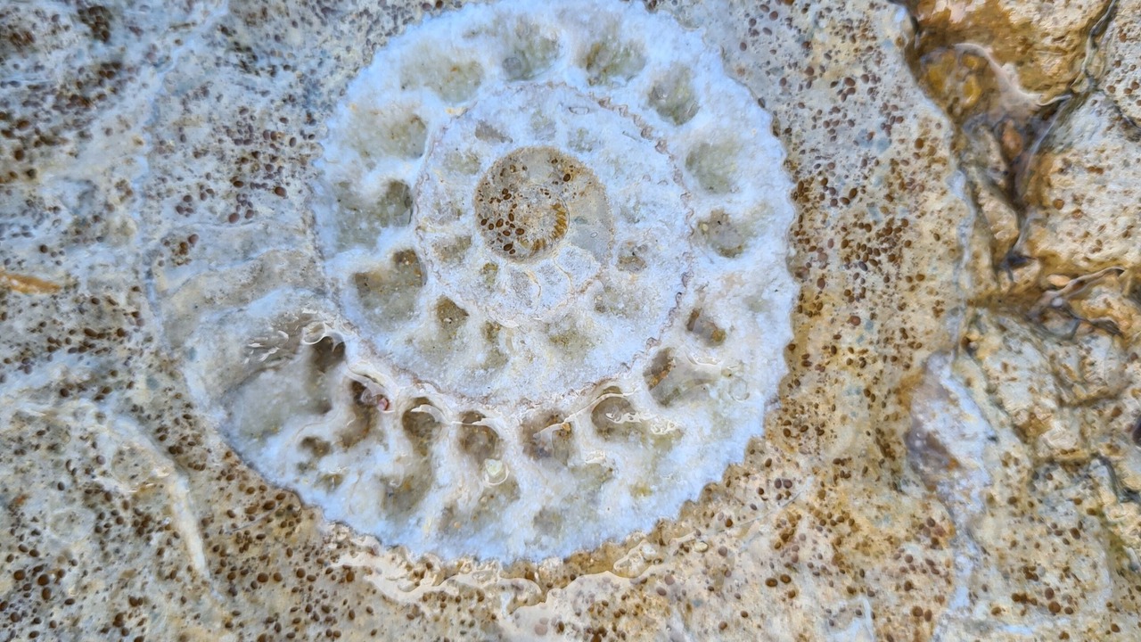 Photo of Outdoor in Sainte-Honorine-des-Pertes