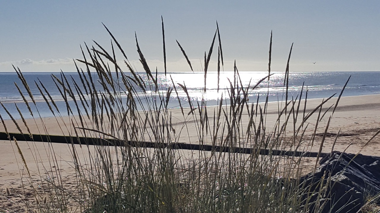 Photo of Others in Sainte-Honorine-des-Pertes