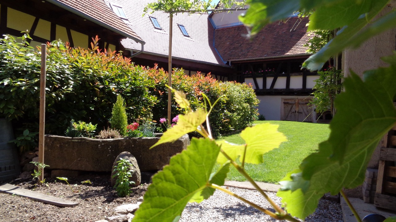 Photo of Outdoor in Dambach-la-Ville