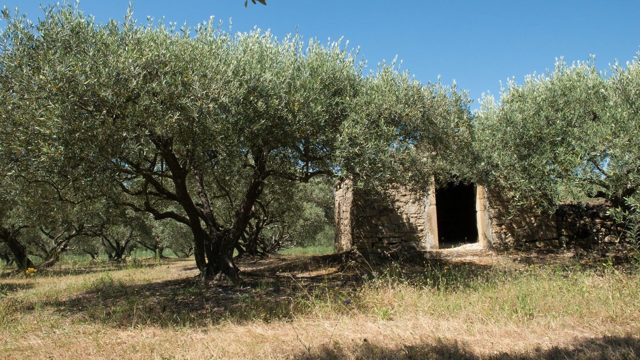 Photo of Outdoor in Martignargues
