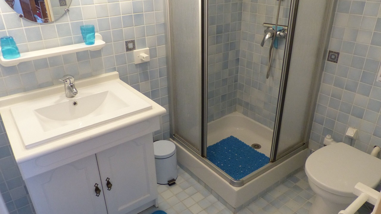 Photo of Bathroom in Saint-Thibault-des-Vignes